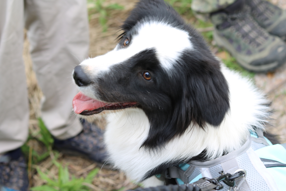 微信图片_20220515122845