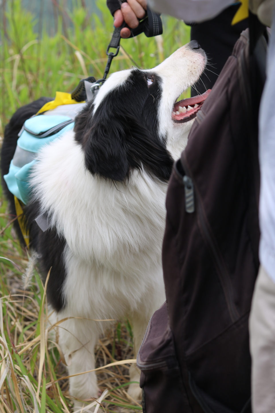 微信图片_20220515122850