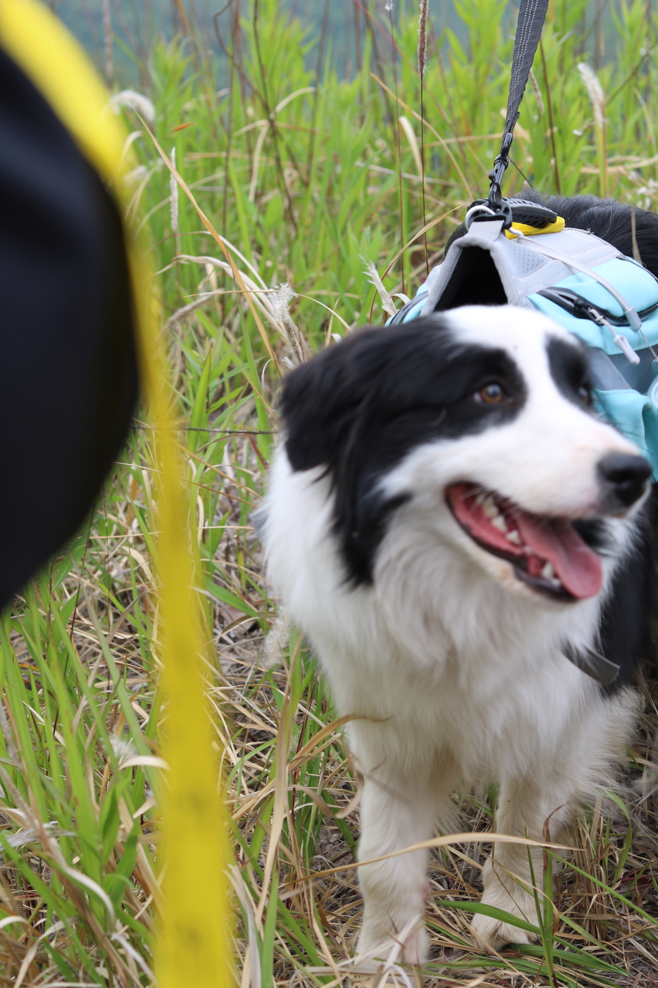 微信图片_20220515122856