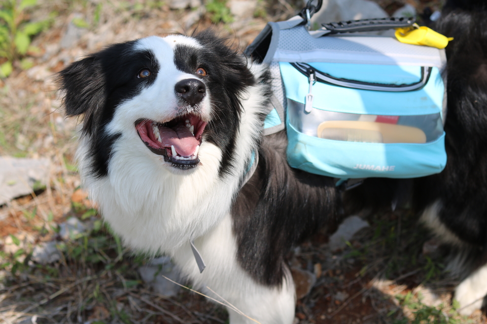 微信图片_20220515122920