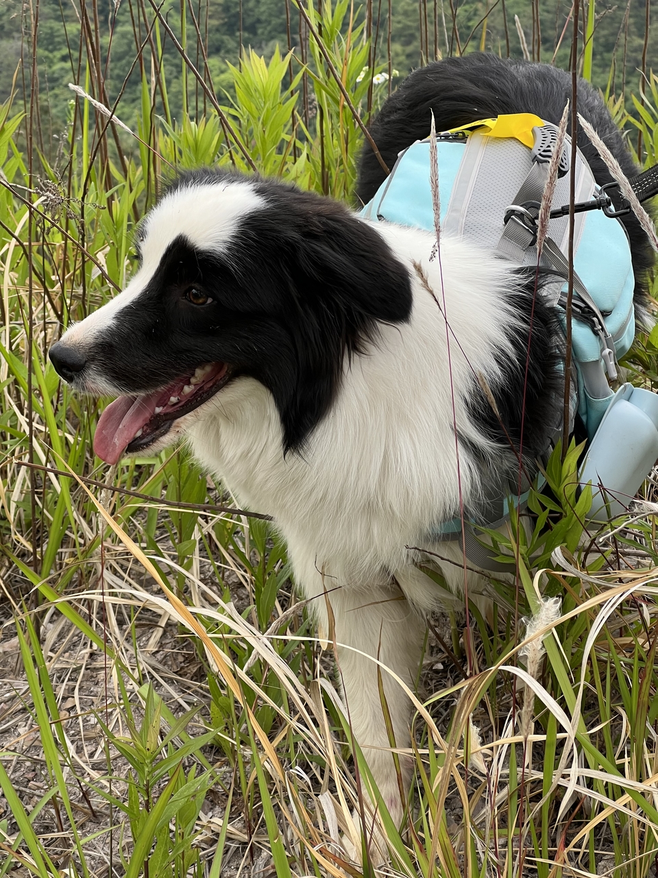 微信图片_20220515122925