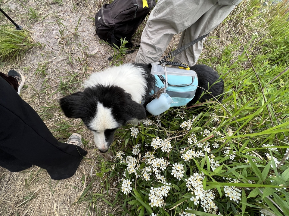 微信图片_20220515122931