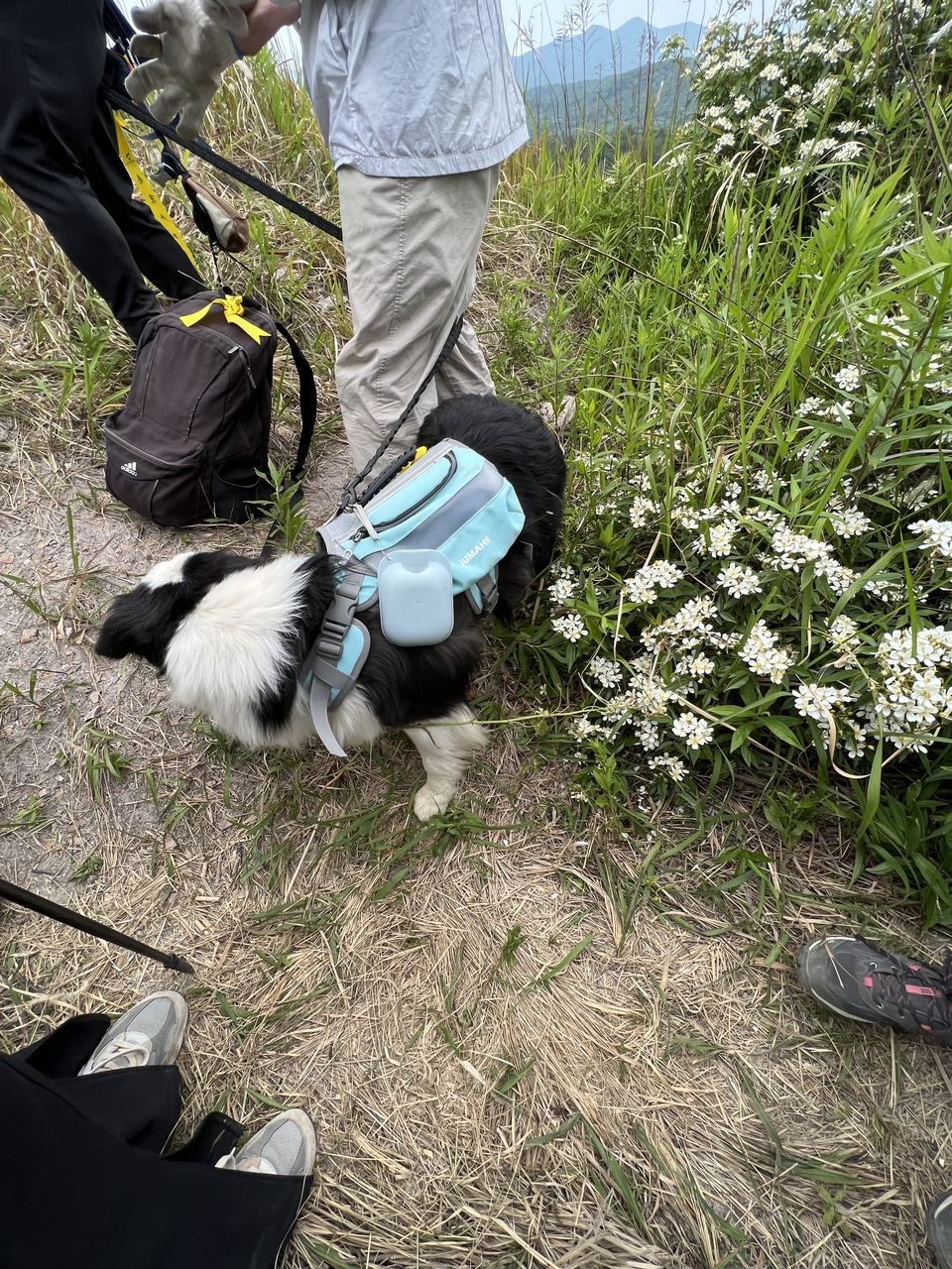 微信图片_20220515122937