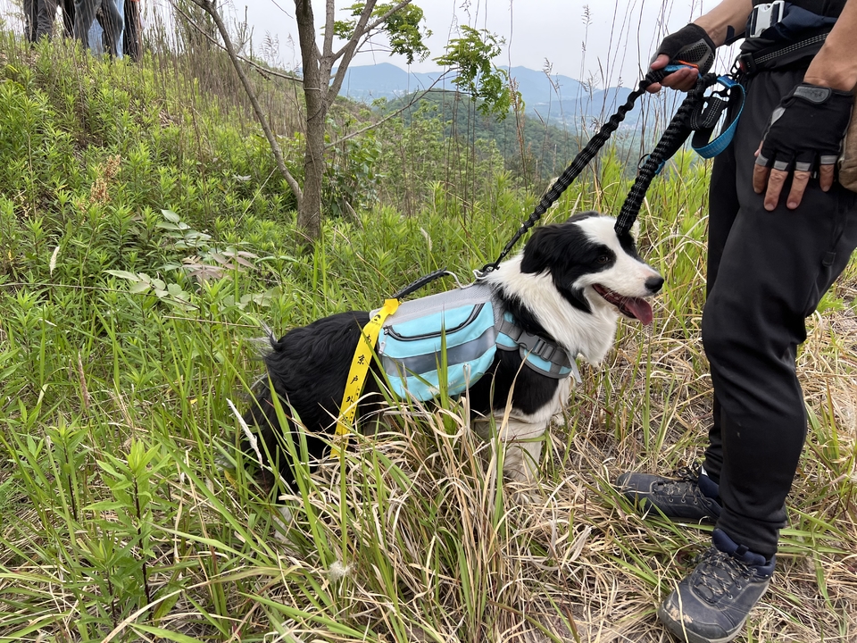 微信图片_20220515122942