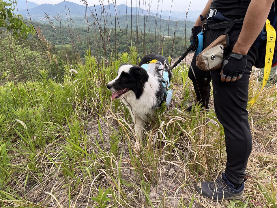 微信图片_20220515122948