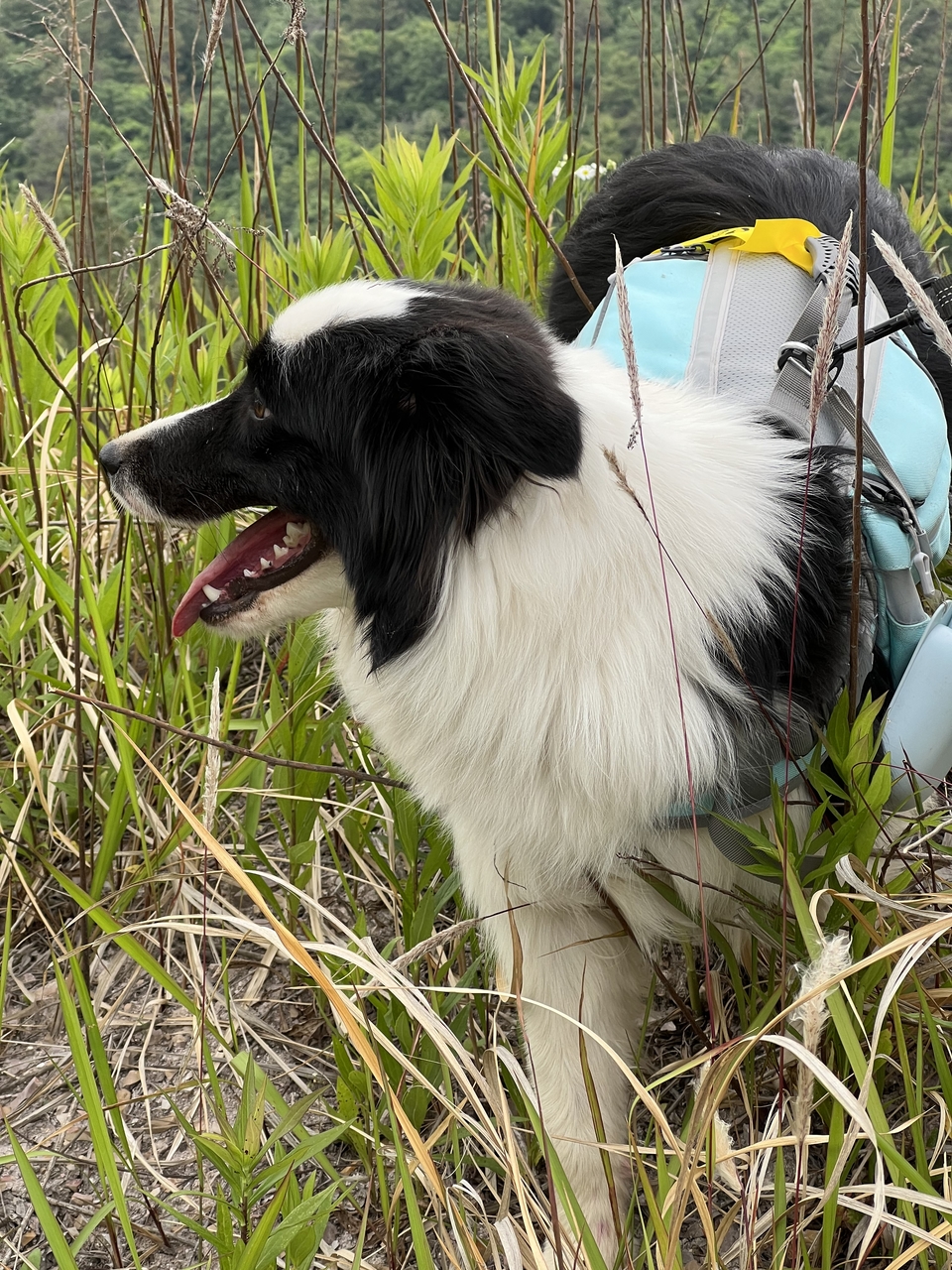 微信图片_20220515122956