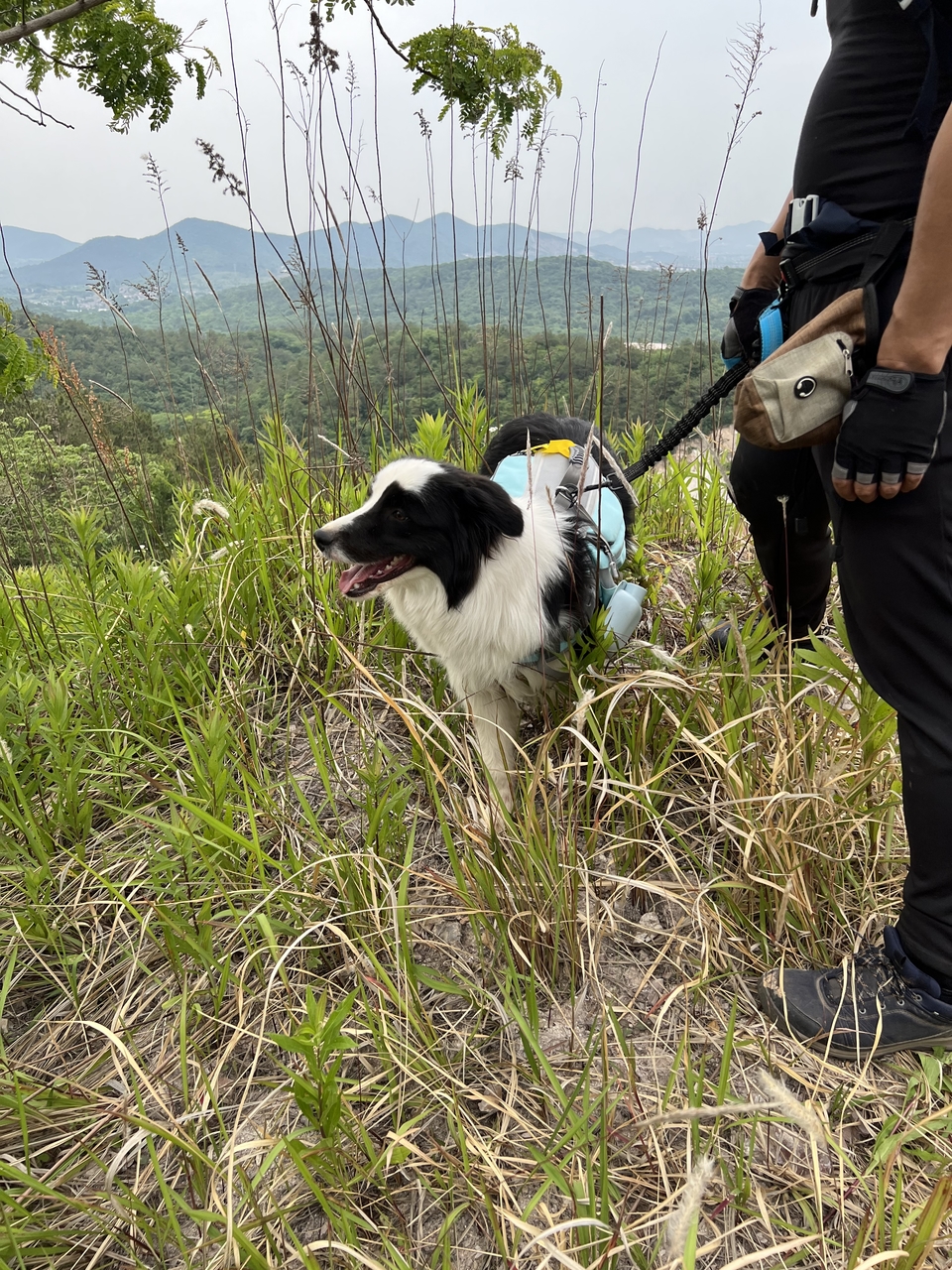 微信图片_20220515123003