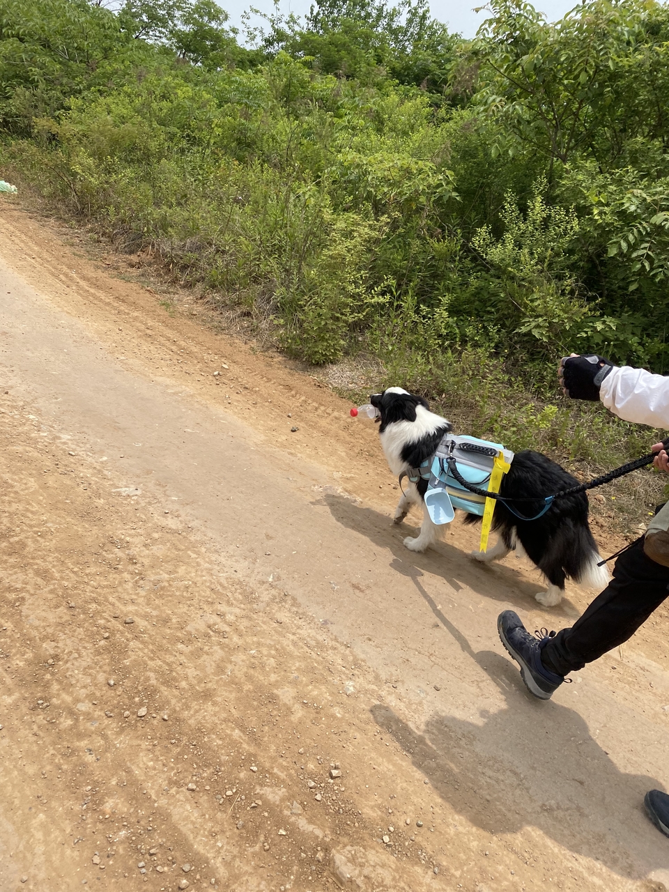 微信图片_20220515123013