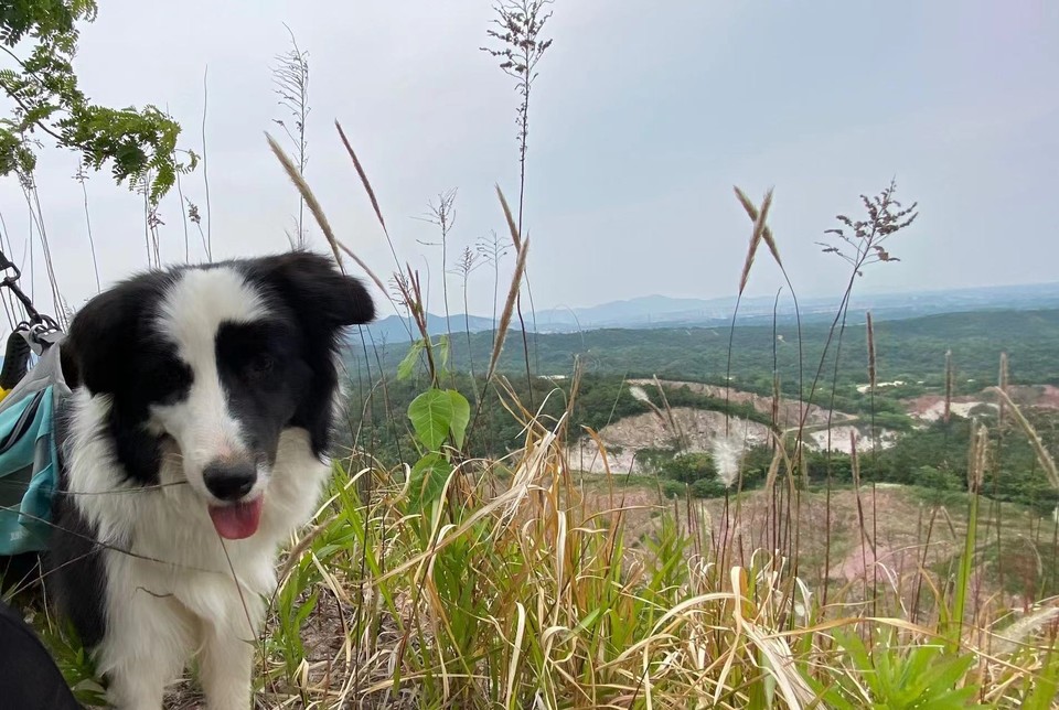 微信图片_20220515123017