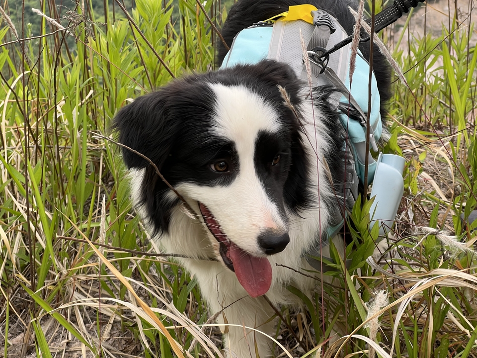 微信图片_20220515123023