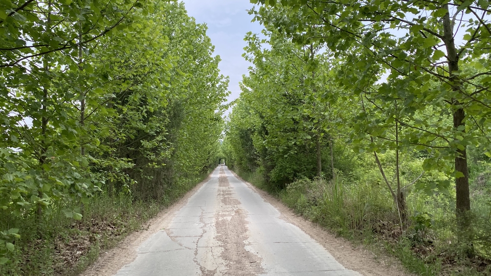 微信图片_20220515123037