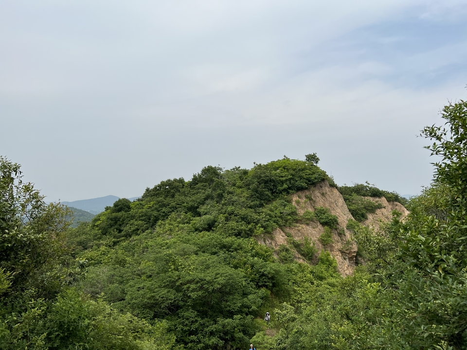 微信图片_20220515123047