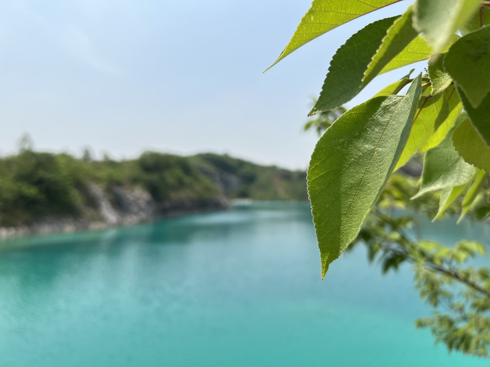 微信图片_20220515123147