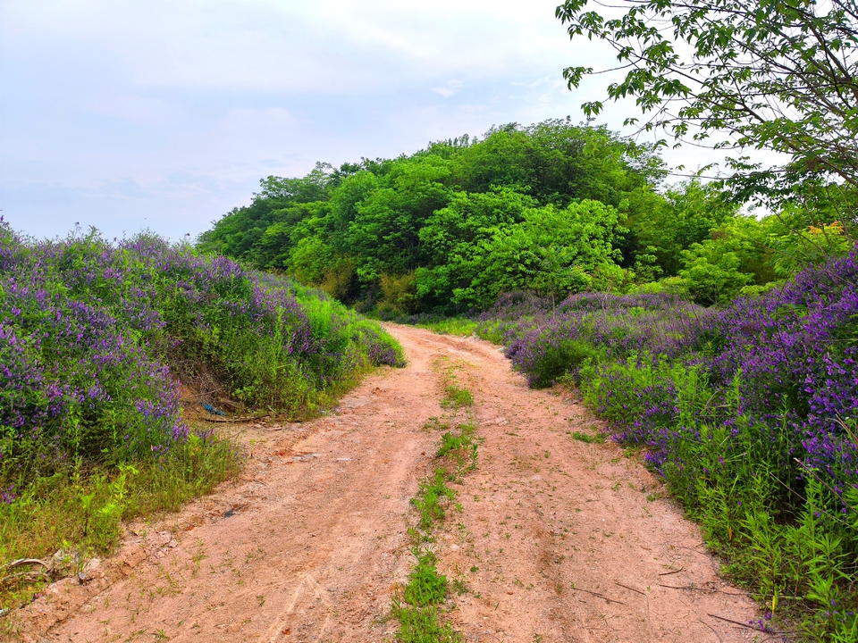 微信图片_20220515123435