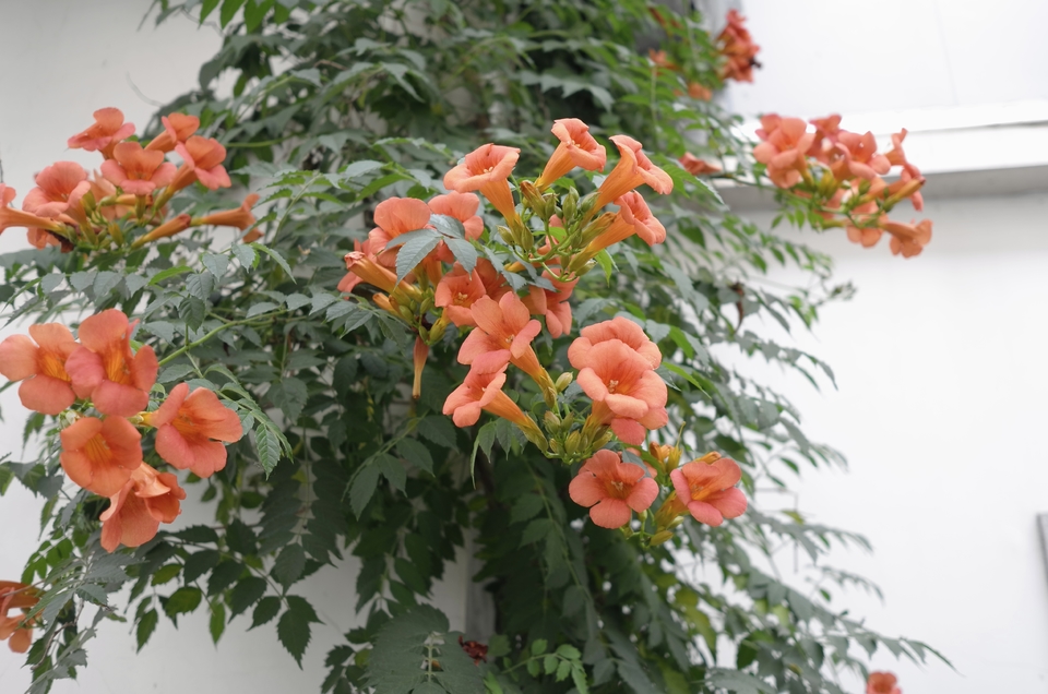 微信图片_20220522170859