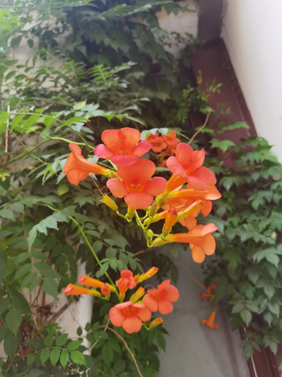 微信图片_20220522171006