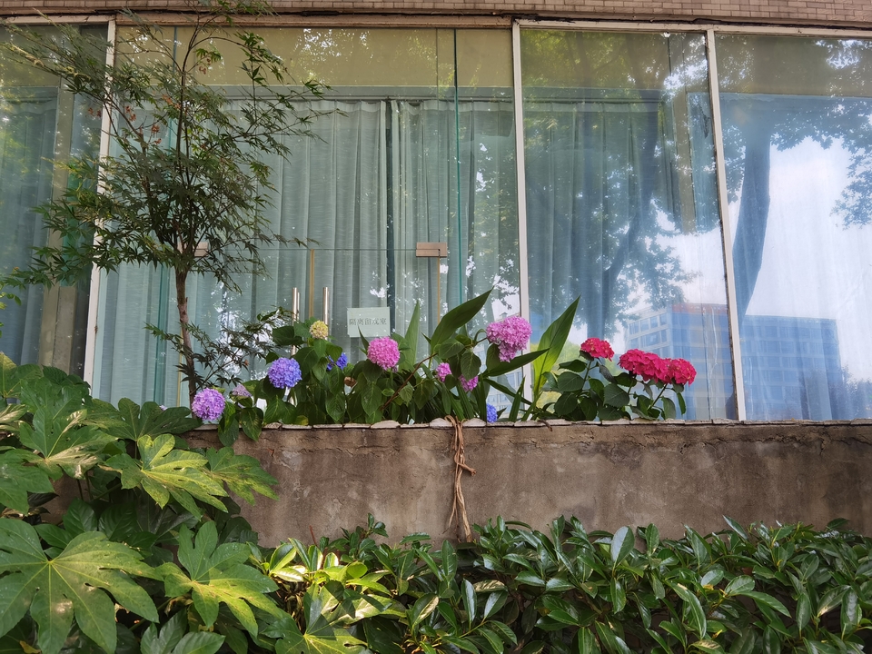 微信图片_20220522171045