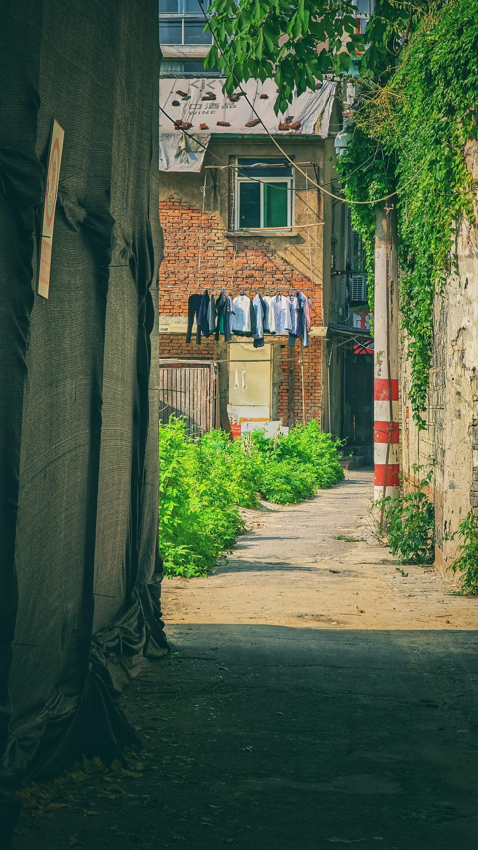 微信图片_20220522171125