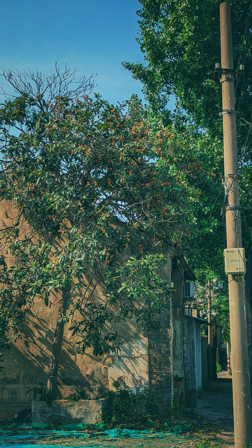 微信图片_20220522171129