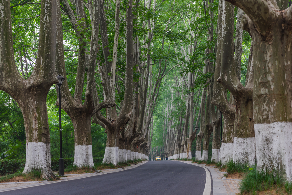 微信图片_20220528165802