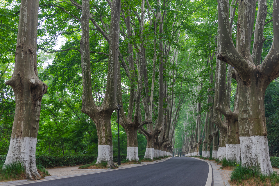 微信图片_20220528165809