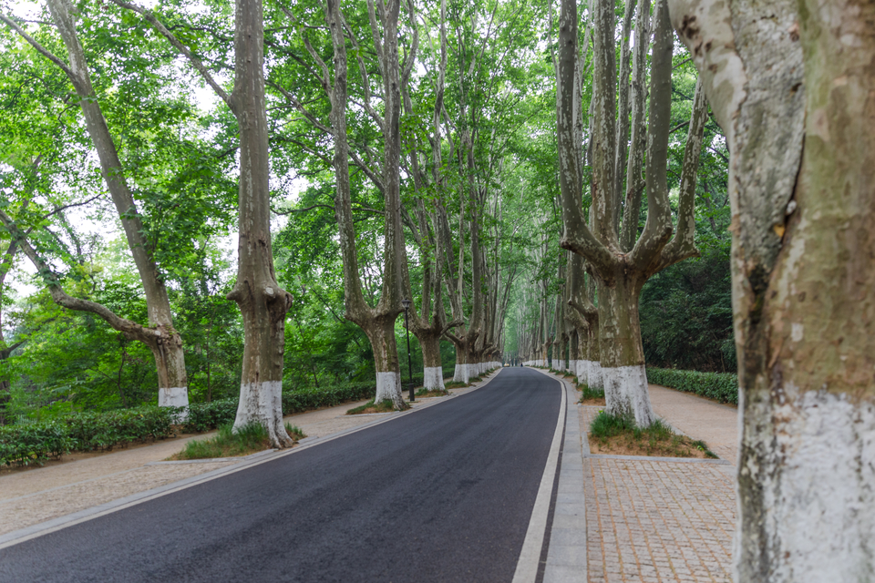 微信图片_20220528165819