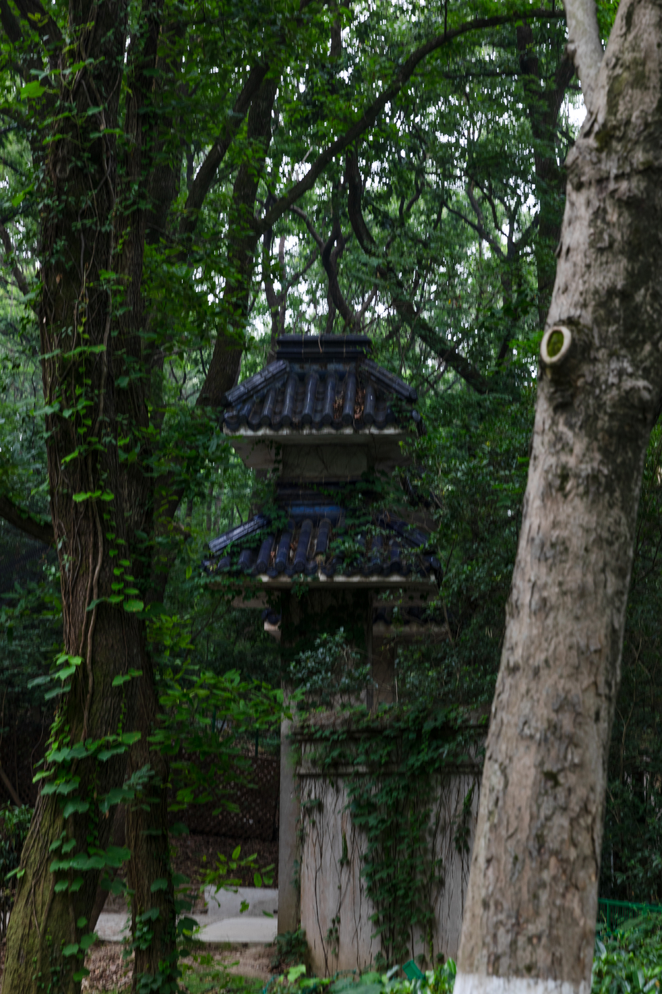 微信图片_20220528165948