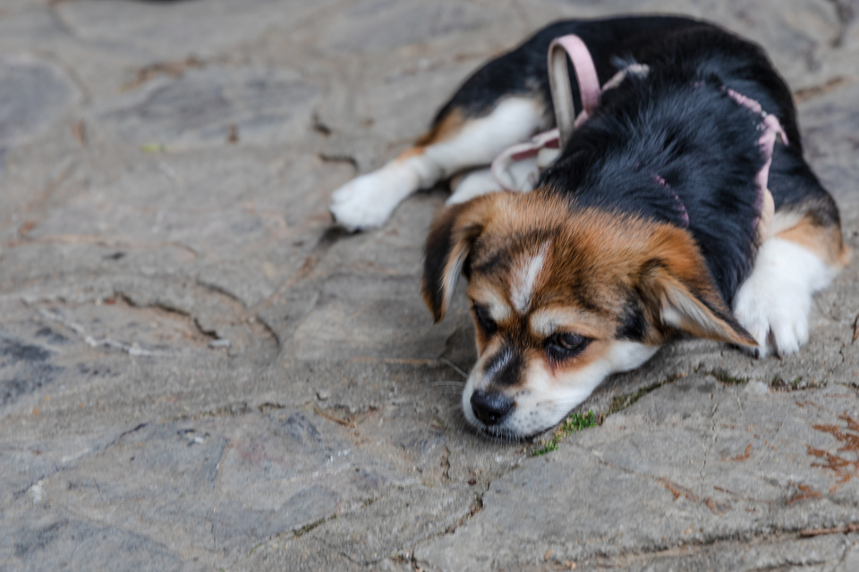 微信图片_20220528165958