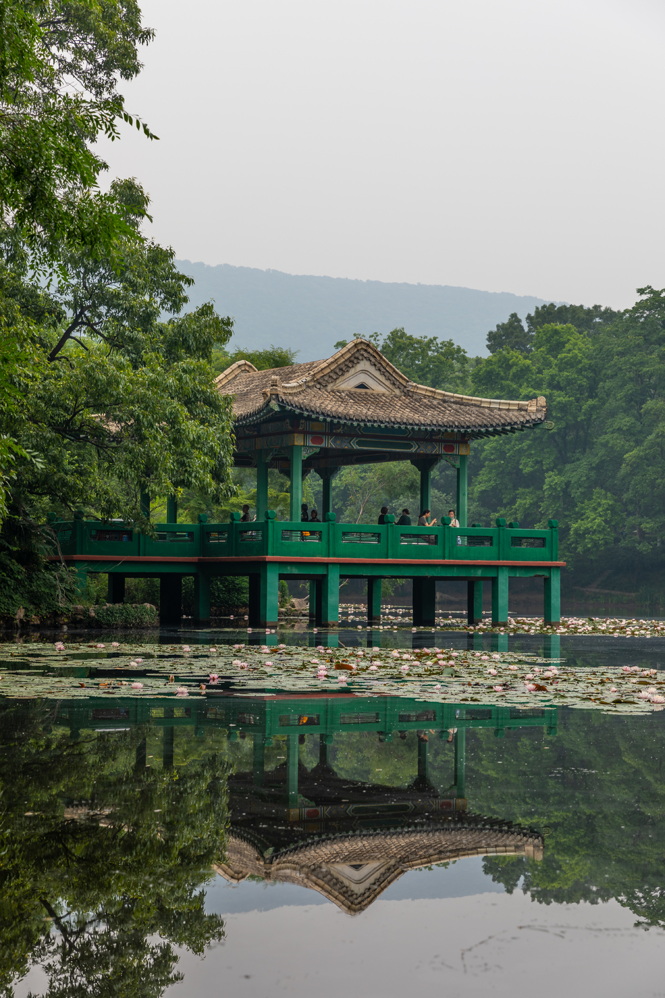 微信图片_20220528170113