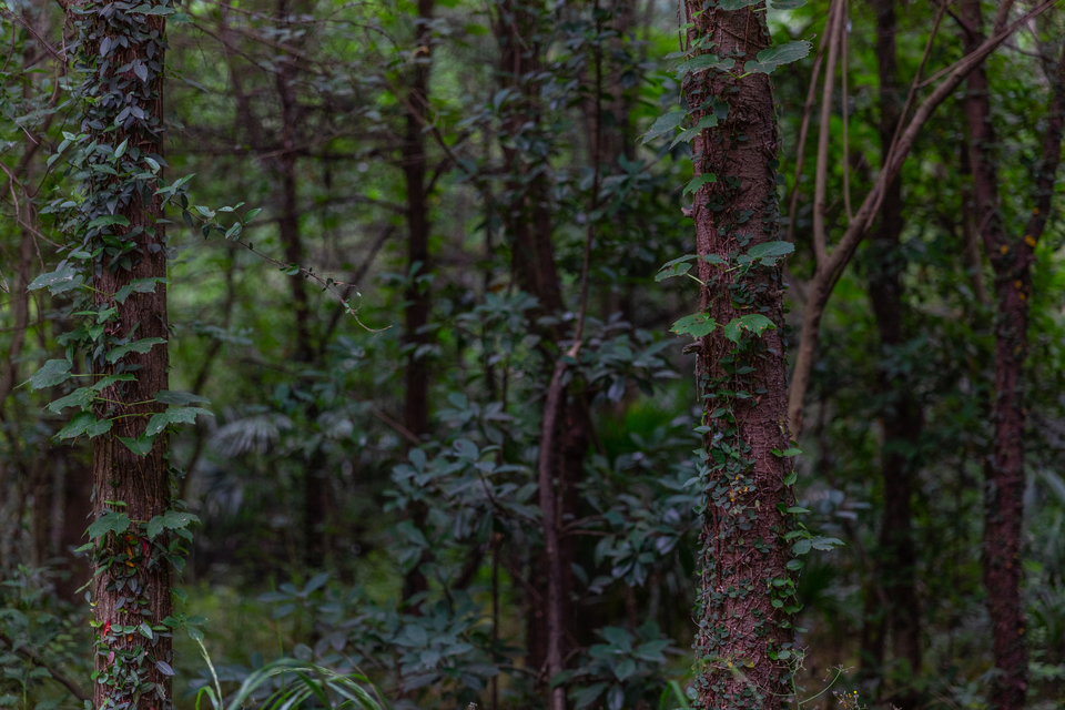 微信图片_20220528170129