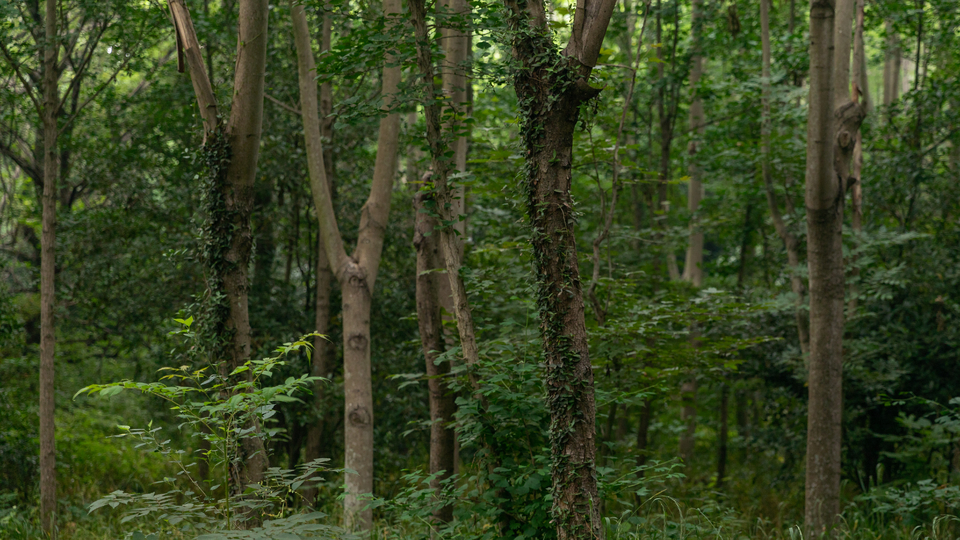 微信图片_20220528170144