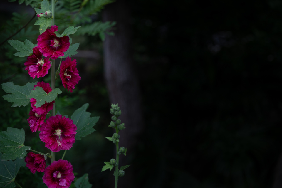 微信图片_20220528170149