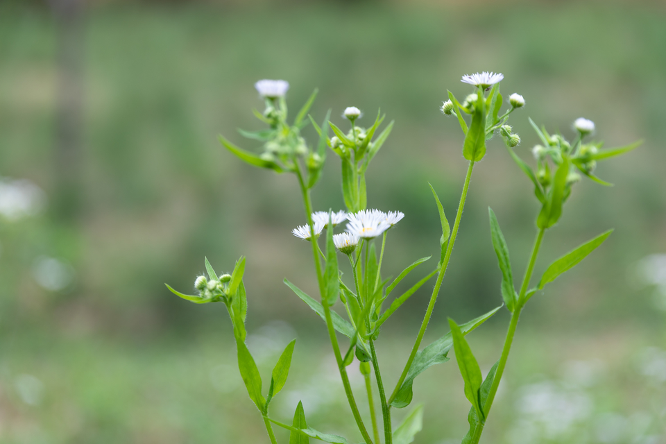 微信图片_20220528170155