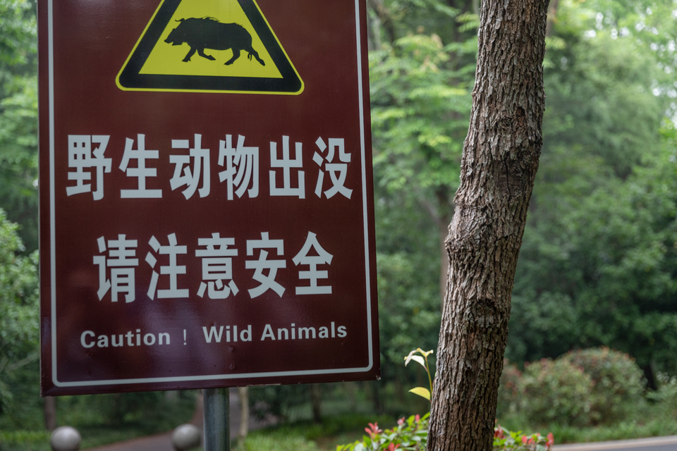 微信图片_20220528170232