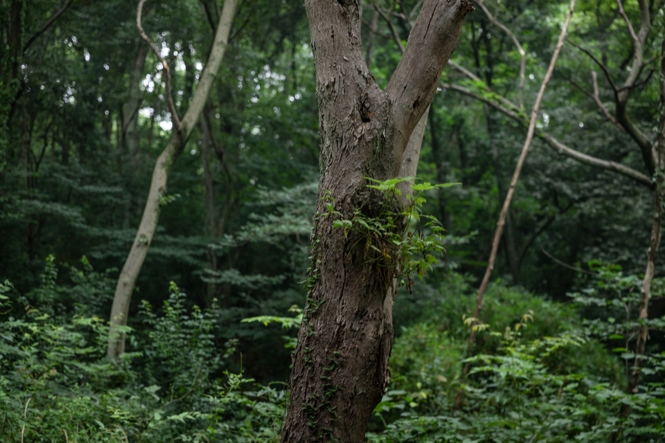 微信图片_20220528170248