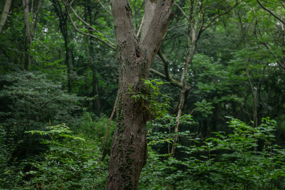 微信图片_20220528170255