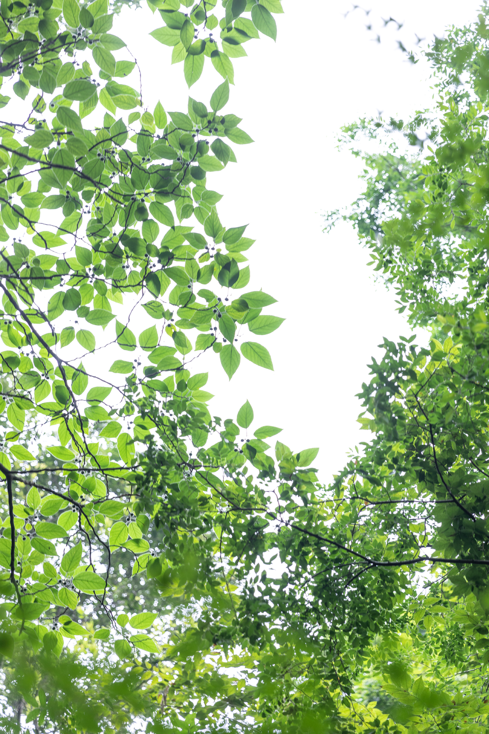 微信图片_20220528170305