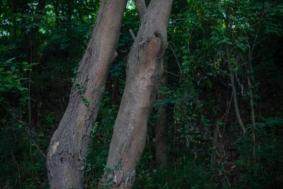 微信图片_20220528170352