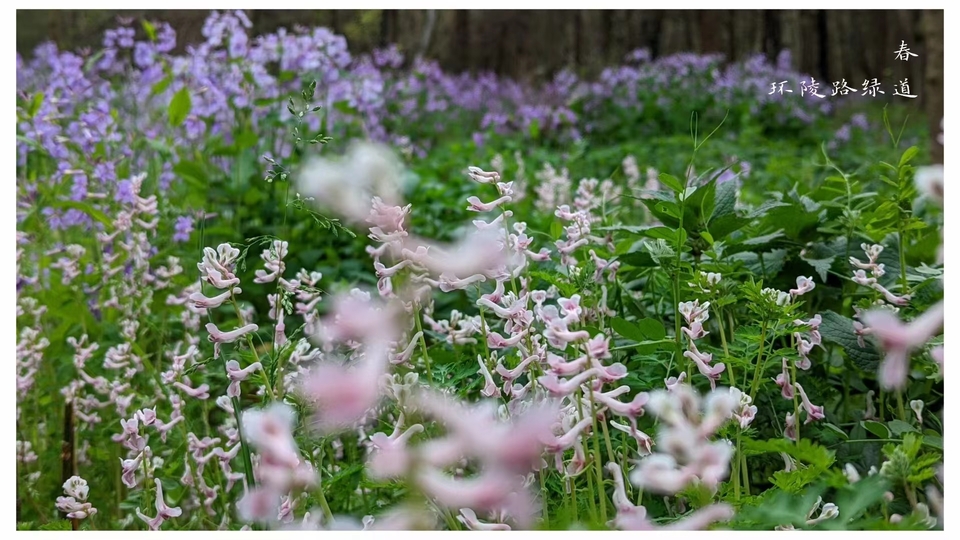 微信图片_20220528170544