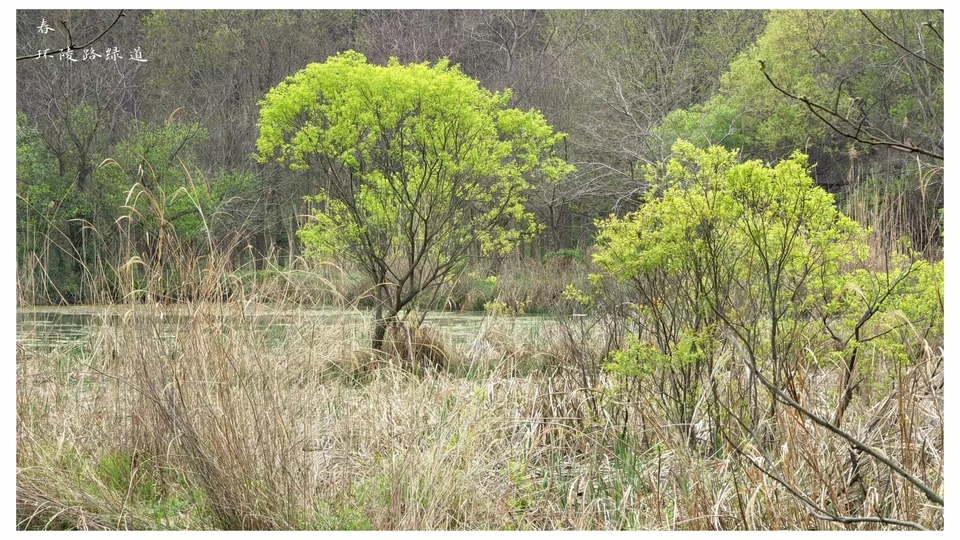 微信图片_20220528170549