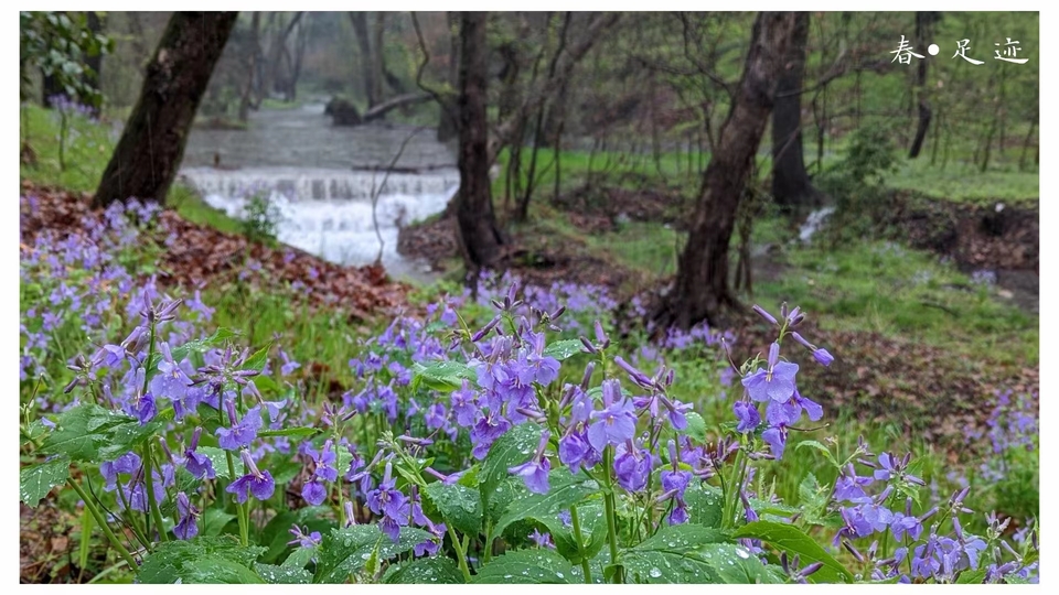 微信图片_20220528170552