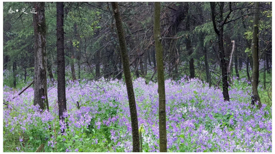 微信图片_20220528170556