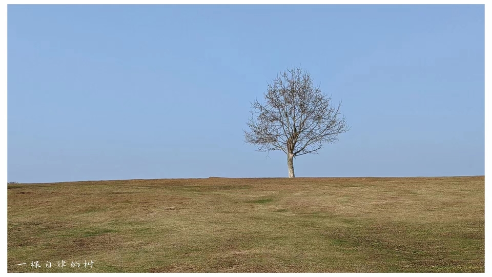 微信图片_20220528170609