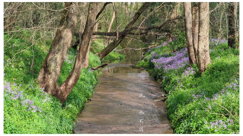 微信图片_20220528170620