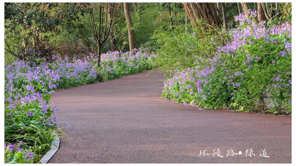 微信图片_20220528170624