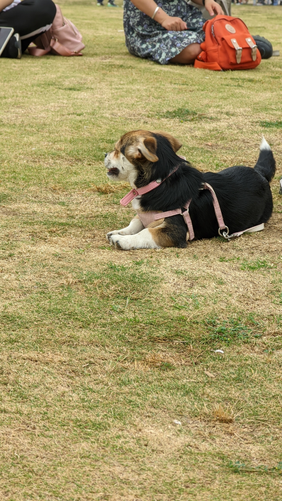 微信图片_20220528170708