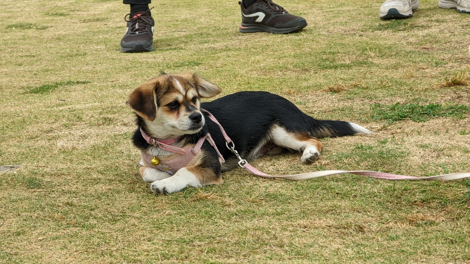 微信图片_20220528170712