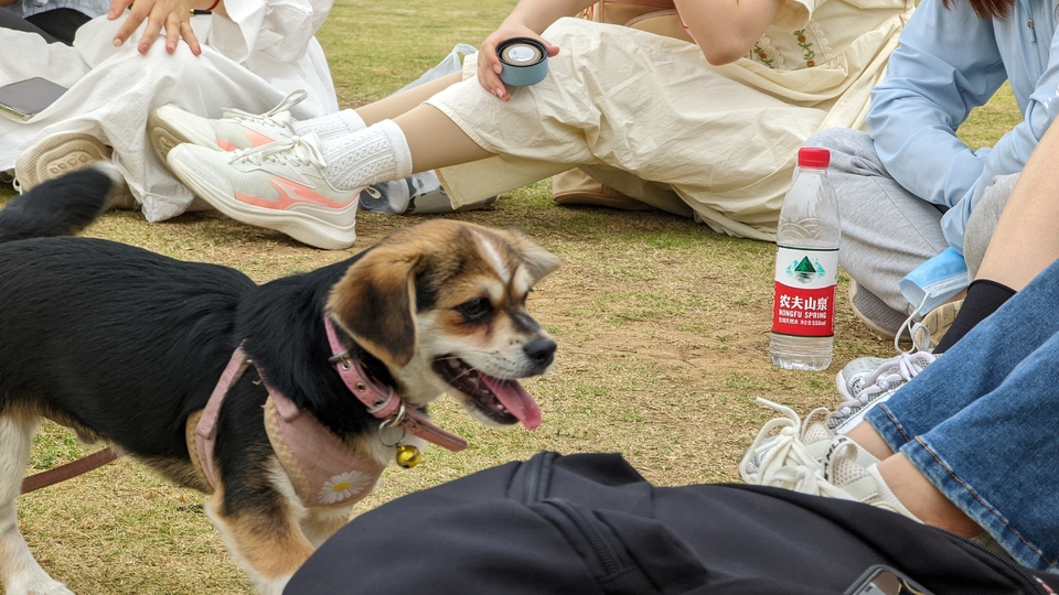 微信图片_20220528170715