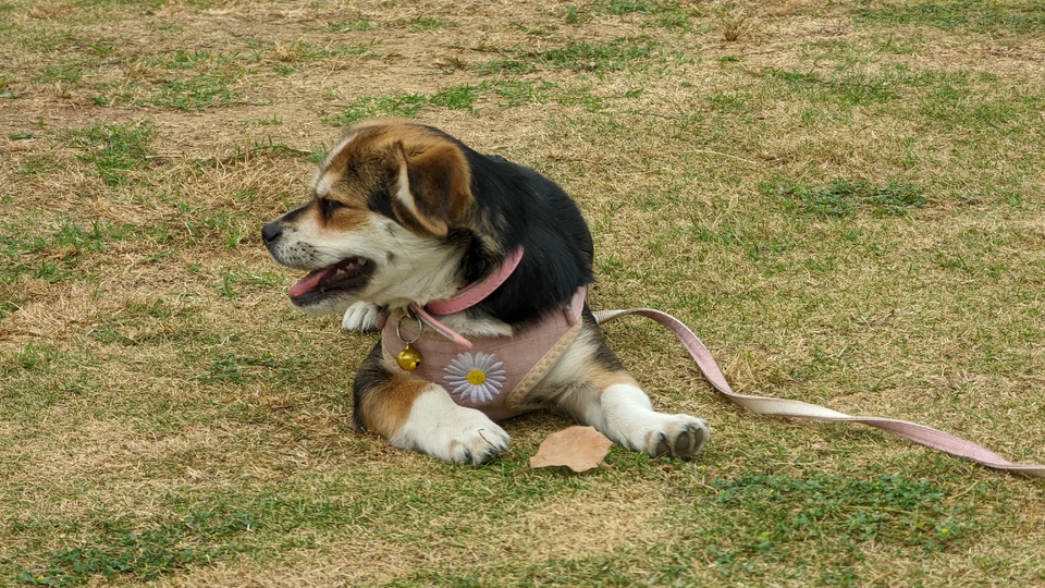 微信图片_20220528170722