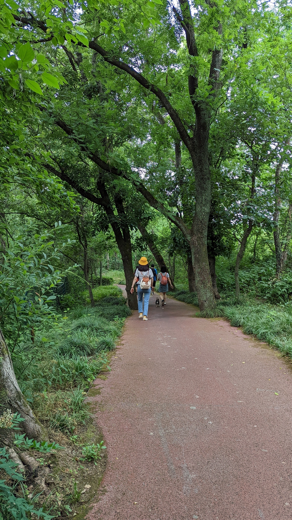 微信图片_20220528170755